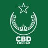 Punjab Central Business District Development Authority. Govt of Punjab logo - Similar company to Lifinit