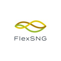 FlexSNG Project logo - Similar company to Susteen Technologies Gmbh