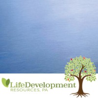 Life Development Resources P.A. logo - Similar company to Relationship Therapy Center
