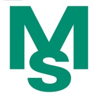 Meenakshi Safety Systems Private Limited logo - Similar company to Jenesis Horizon Design Studio