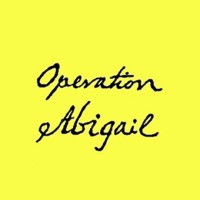 Operation Abigail logo - Similar company to Scheel Mann Usa Llc