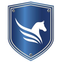 Pegasus Airborne Systems logo - Similar company to Atlas Geophysics