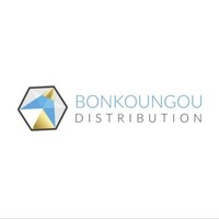 BKG DISTRIBUTION logo - Similar company to Dca Africa