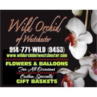 WOW Flowers logo - Similar company to Css Building Services Inc.
