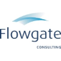 Flowgate Consulting logo - Similar company to Macroseguridad.Org