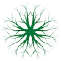 Luan Williams Consulting