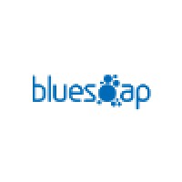 BlueSoap Website Design logo - Similar company to Juggler Design Pty Ltd