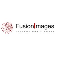 FusionImages logo - Similar company to Binoculars Consultancy