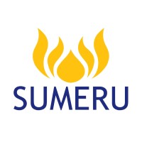 Sumeru Global Technologies Private Limited logo - Similar company to Sapbase Solutions