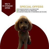 Straub Road RV and Self Storage logo - Similar company to A-Lert Roof Systems