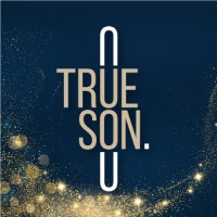 Trueson logo - Similar company to Dj Technology Solutions