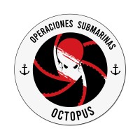 Octopus Operaciones Submarinas logo - Similar company to Diving Austral Venta De Rovs