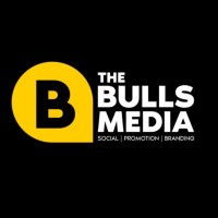 The Bulls Media logo - Similar company to Excel One Stop Solution Pvt Ltd