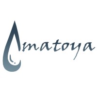 Amatoya logo - Similar company to Beyondmls.Com