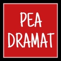 DRAMAT logo - Similar company to Sun Devil Satellite Laboratory