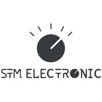 STM Electronic logo - Similar company to The First Srl