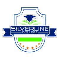 Silverline College logo - Similar company to Valearnis