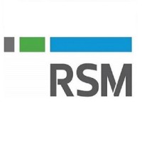 RSM Italy Accounting logo - Similar company to Jnius