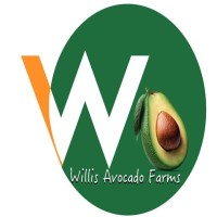 Willis Avocado Farms logo - Similar company to Pbr International