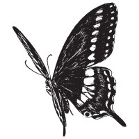 Docextractor logo - Similar company to Recruitable