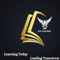 MB Academy USA logo - Similar company to Mt Academy