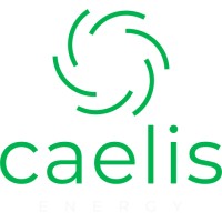 CAELIS ENERGY SA logo - Similar company to Borintech Srl