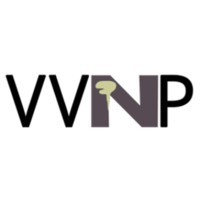 Vlaamse Vereniging voor Neuropsychologie logo - Similar company to Vbs-Gbs