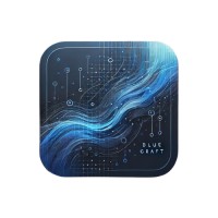 Blue Craft Consulting logo - Similar company to Nibble Technologies