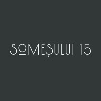 Someșului 15 logo - Similar company to Hexagon