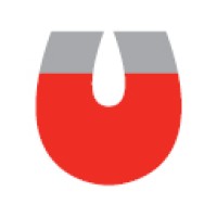 Dowling Magnets logo - Similar company to Mce - Magnetic Component Engineering