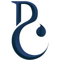 Blue Chain International logo - Similar company to Koko Nail