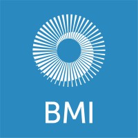 Bmi Research (A Fitch Group Company)