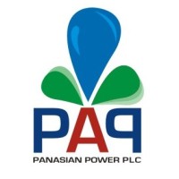 Panasian Power PLC logo - Similar company to Rividco Projects (Pvt) Ltd