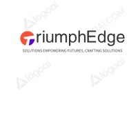 Triumph Edge Solutions logo - Similar company to Genius Executives
