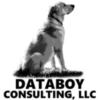 Databoy Consulting, LLC logo - Similar company to Databoy