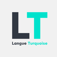 Langue Turquoise logo - Similar company to Tada! Immersive