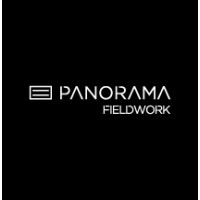 PANORAMA FIELDWORK logo - Similar company to Intuito