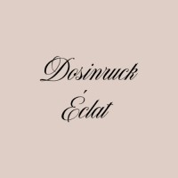 Dosinruck Éclat Consulting logo - Similar company to Clap De Vie