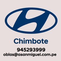 Hyundai Chimbote Asm logo - Similar company to Takfin Solutions