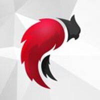 IntellCorp Group logo - Similar company to Solvx
