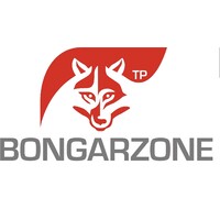 Bongarzone T.P. logo - Similar company to Ace Services Cnd