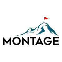 Montage logo - Similar company to Raheel Bodla Business Team