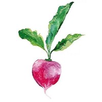 nouriche logo - Similar company to Nouriche.Me