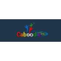 Caboodle Social Media Marketing Solutions logo - Similar company to Local Ad Link