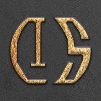 Foshan Lisheng Industry & Trade Co., Ltd. logo - Similar company to Zoomasia Logistics