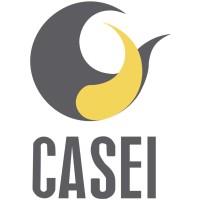 CALDERAS DE SONORA S.A DE C.V (CASEI) logo - Similar company to P&P Representantes