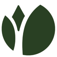 Diamond Tropical Hardwoods logo - Similar company to Ok Digital