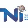 Travel Network International logo - Similar company to Trivia Travel