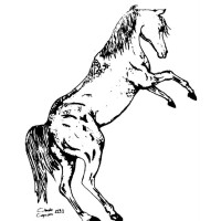 Agriturismo La Cavallina - Farm holidays, Bed & Breakfast, Restaurant logo - Similar company to Charming Guest Houses