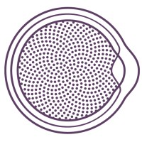 New York Ophthalmology logo - Similar company to Fromer Eye Centers